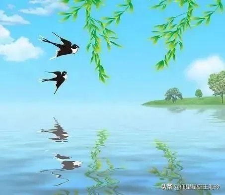 “不知细叶谁裁出,二月春风似剪刀”描写的什么美景?