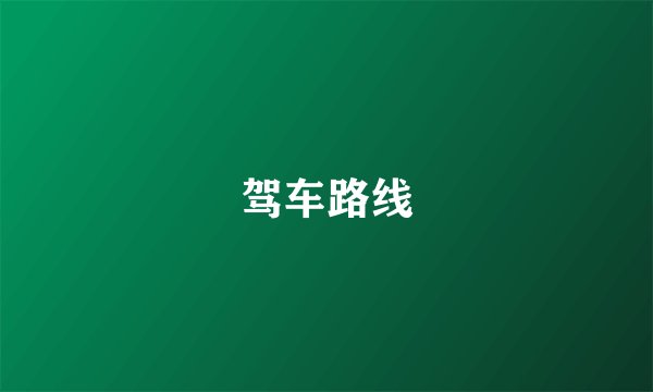 驾车路线