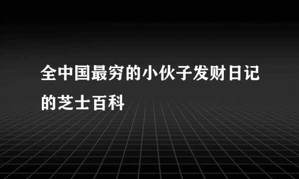 全中国最穷的小伙子发财日记的芝士百科
