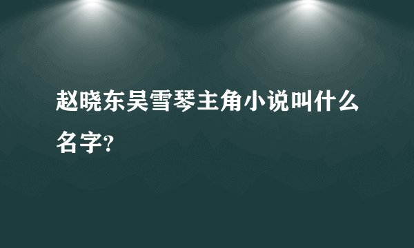 赵晓东吴雪琴主角小说叫什么名字？
