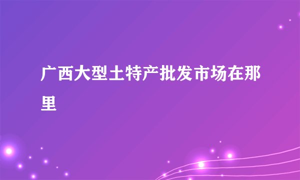 广西大型土特产批发市场在那里