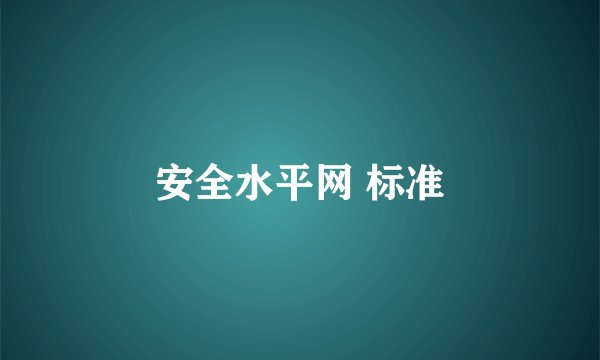 安全水平网 标准