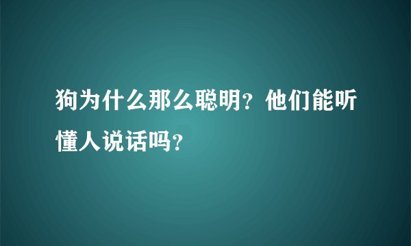 狗为什么那么聪明?他们能听懂人说话吗?