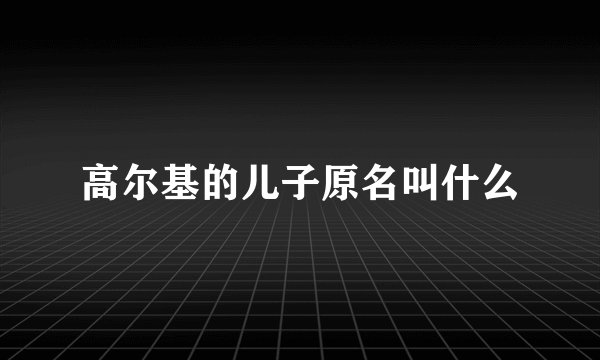 高尔基的儿子原名叫什么