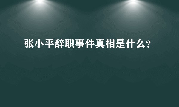 张小平辞职事件真相是什么？