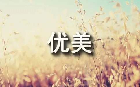 描写油菜花的优美句子