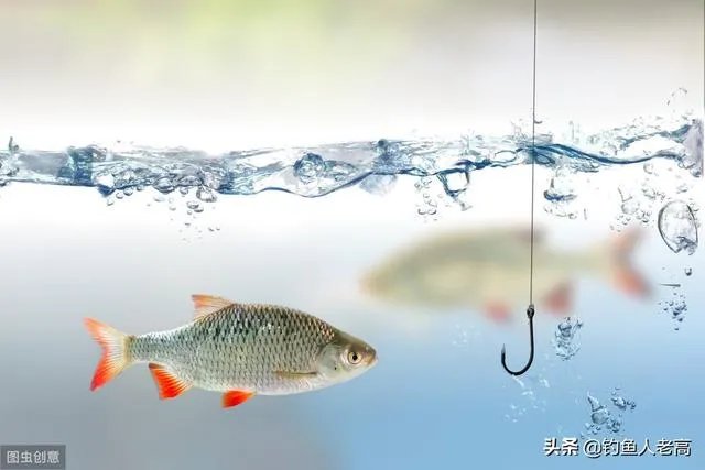 钓鱼人,雨前为啥不好钓鱼?