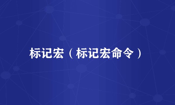 标记宏（标记宏命令）