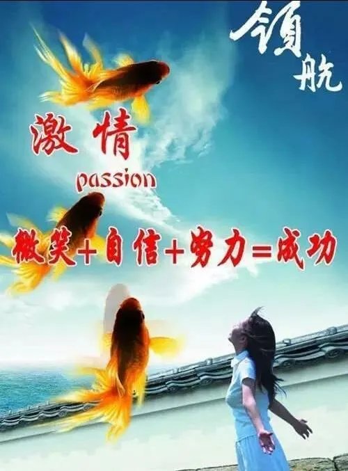 在设计的路上,你后悔了么?