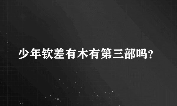少年钦差有木有第三部吗?