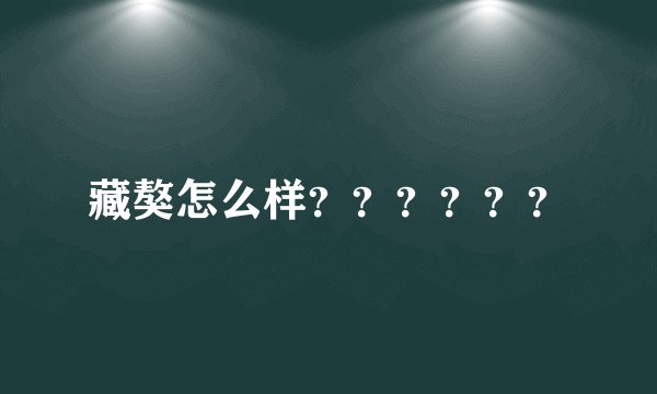 藏獒怎么样??????