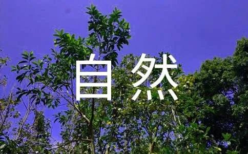 描写大自然的现代诗