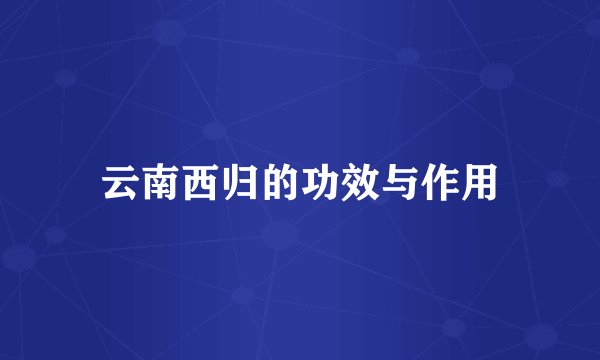 云南西归的功效与作用