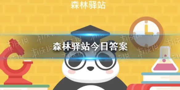 以下大熊猫主要分布山系拥有野生大熊猫最多的是哪一个 森林驿站今日答案12月31日