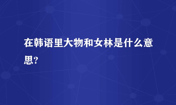 在韩语里大物和女林是什么意思?