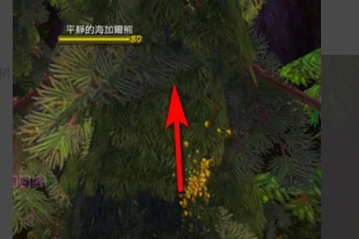 魔兽世界海加尔山“上面的熊”怎么将熊扔出去啊?