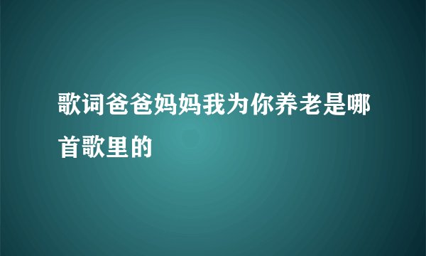 歌词爸爸妈妈我为你养老是哪首歌里的