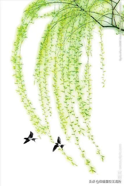 “不知细叶谁裁出,二月春风似剪刀”描写的什么美景?
