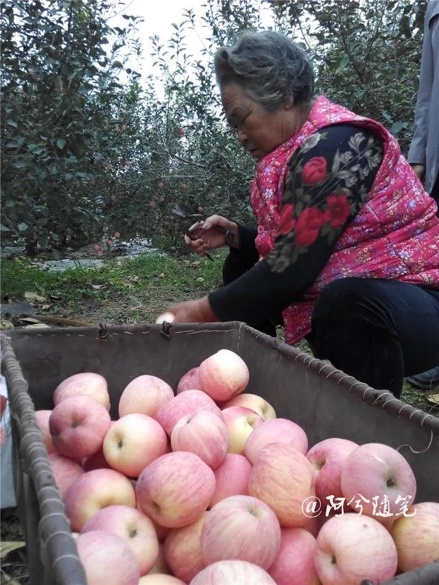 农村没有退休金的老人,该怎么办?