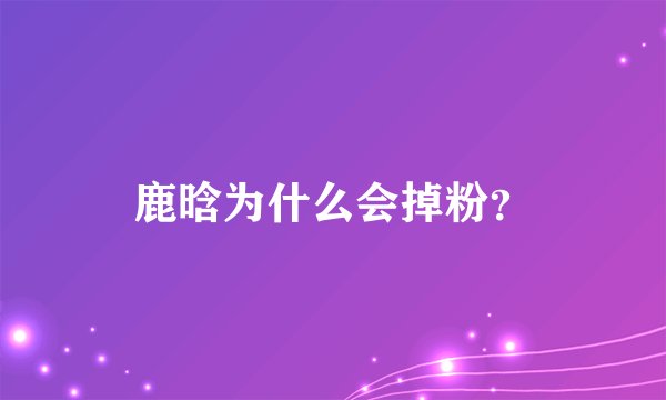鹿晗为什么会掉粉？