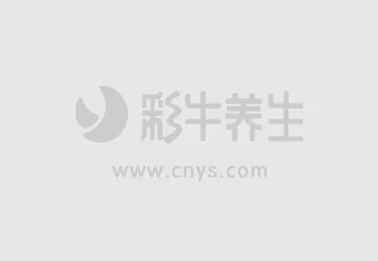 四季可养生食物推荐