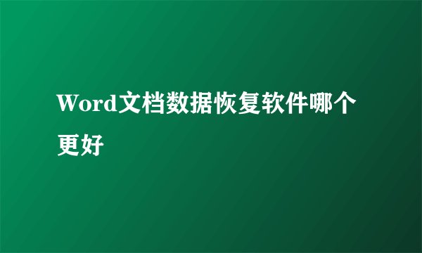 Word文档数据恢复软件哪个更好