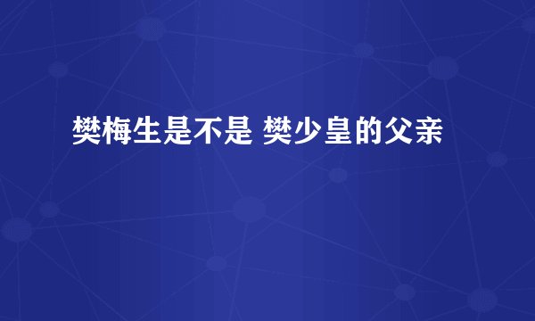 樊梅生是不是 樊少皇的父亲