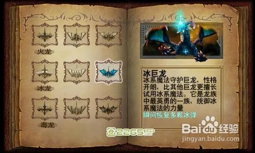 龙域守卫:神殿游戏攻略