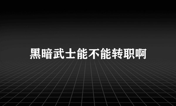 黑暗武士能不能转职啊