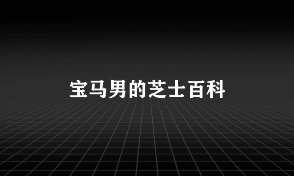 宝马男的芝士百科