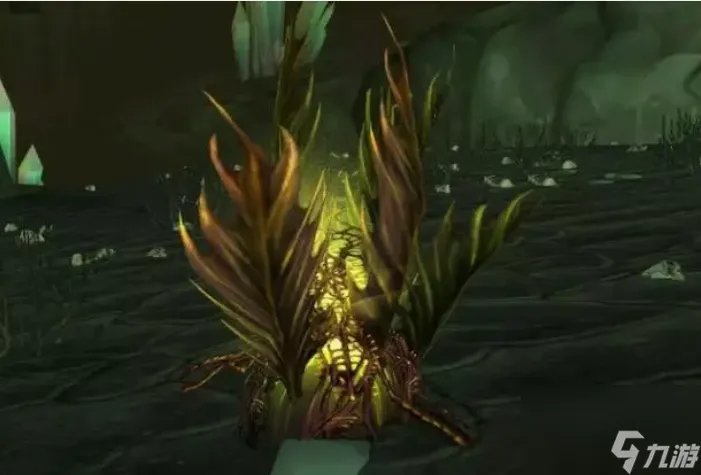 魔兽世界噩梦藤哪里比较多 魔兽世界噩梦藤采摘在哪里介绍