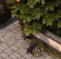 斗战神神之猎场副本专题