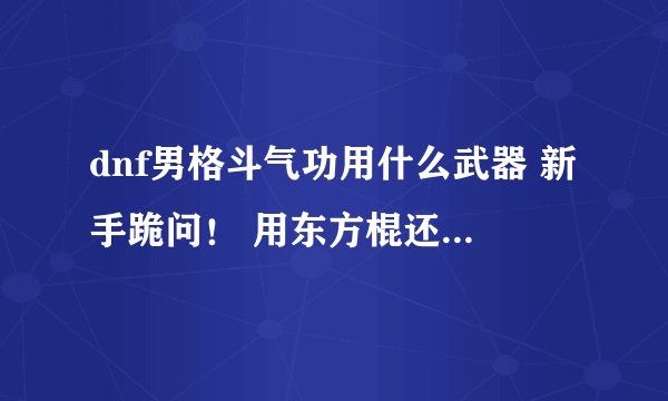 dnf男格斗气功用什么武器 新手跪问！ 用东方棍还是 手套！