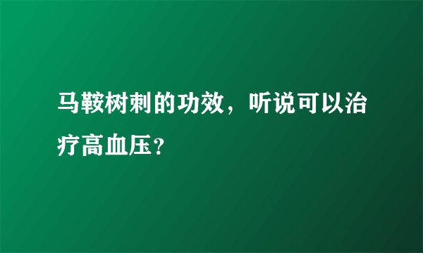 马鞍树刺的功效，听说可以治疗高血压？