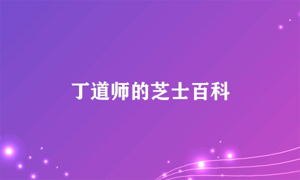 丁道师的芝士百科