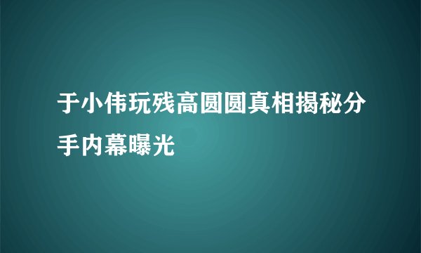 于小伟玩残高圆圆真相揭秘分手内幕曝光