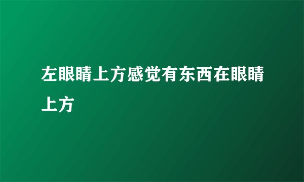左眼睛上方感觉有东西在眼睛上方