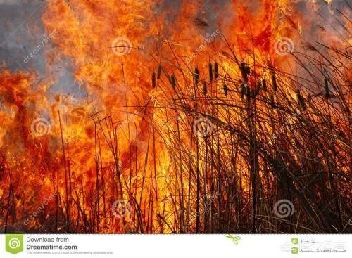 凉山木里火场又复燃了,是什么原因造成的?