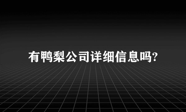 有鸭梨公司详细信息吗?
