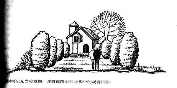 干货 | 庭院植物打造,营造十足空间感
