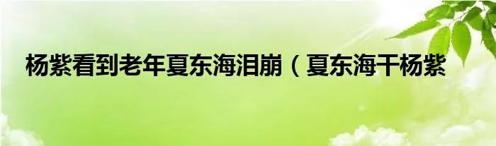 杨紫看到老年夏东海泪崩（夏东海干杨紫