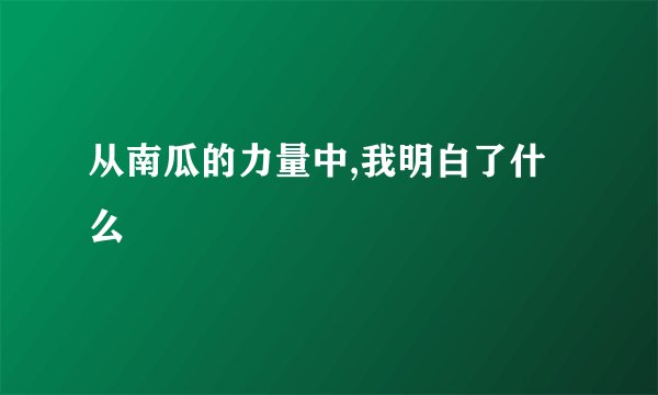 从南瓜的力量中,我明白了什么
