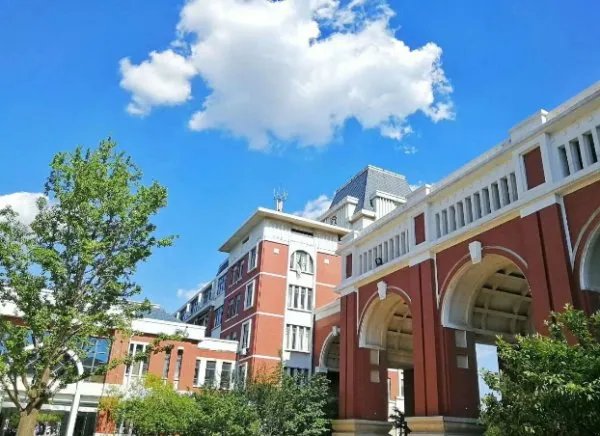 在山东省,排名前15的大学分别是哪些?