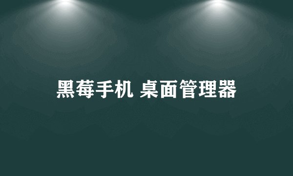黑莓手机 桌面管理器