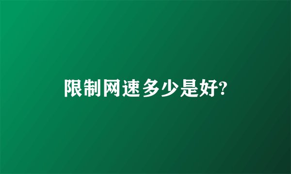 限制网速多少是好?