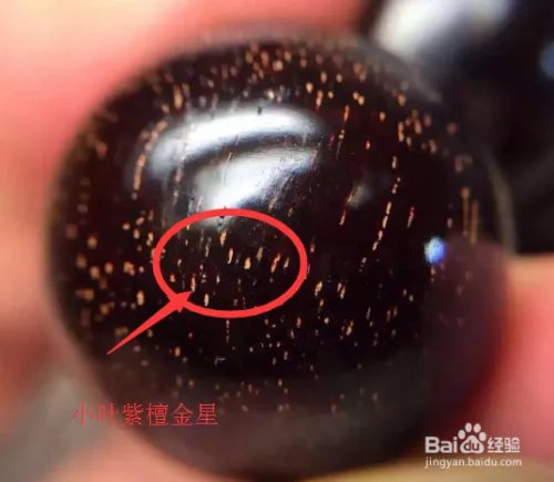 小叶紫檀图片