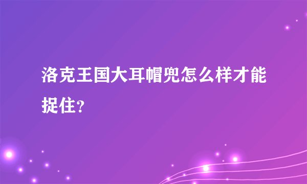 洛克王国大耳帽兜怎么样才能捉住？