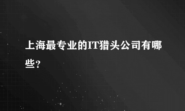 上海最专业的IT猎头公司有哪些？