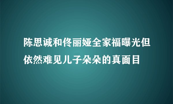 陈思诚和佟丽娅全家福曝光但依然难见儿子朵朵的真面目