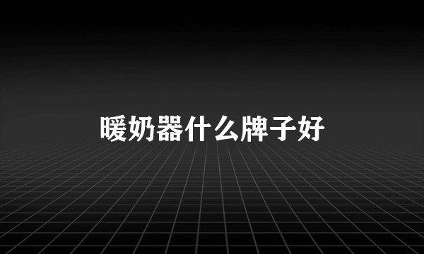 暖奶器什么牌子好